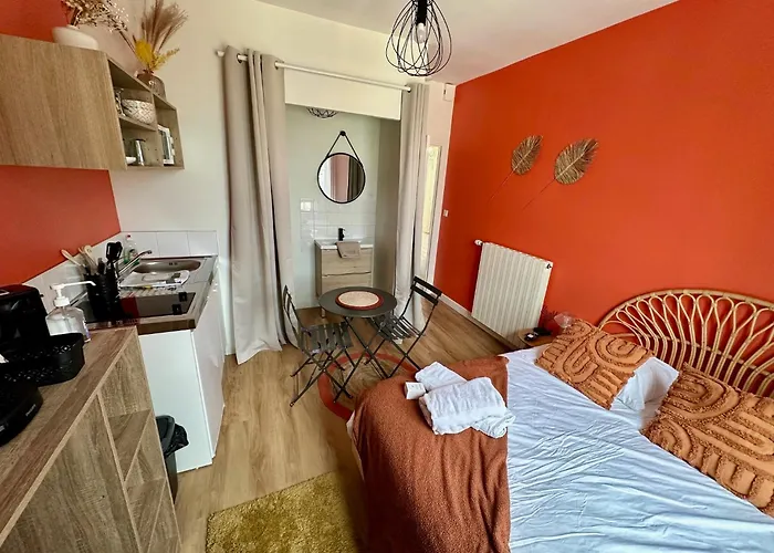 公寓 Le Terracosy - Gare - Bcla